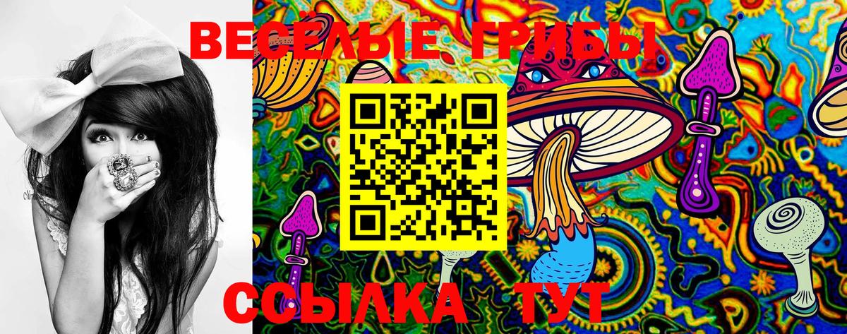 Псилоцибиновые грибы Psilocybe  Вход с VPN  Псилоцибиновые грибы GOLDEN TEACHER  Анжеро-Судженск 